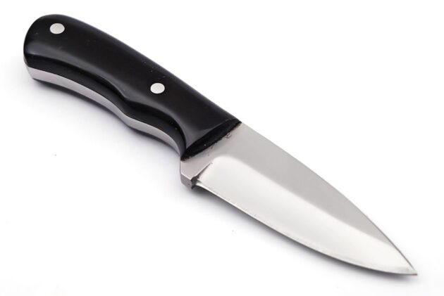 Premium Stainlessness steel blade handle black harden - Image 4